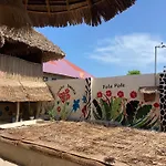 Bougainvillea Nungwi Zanzibar