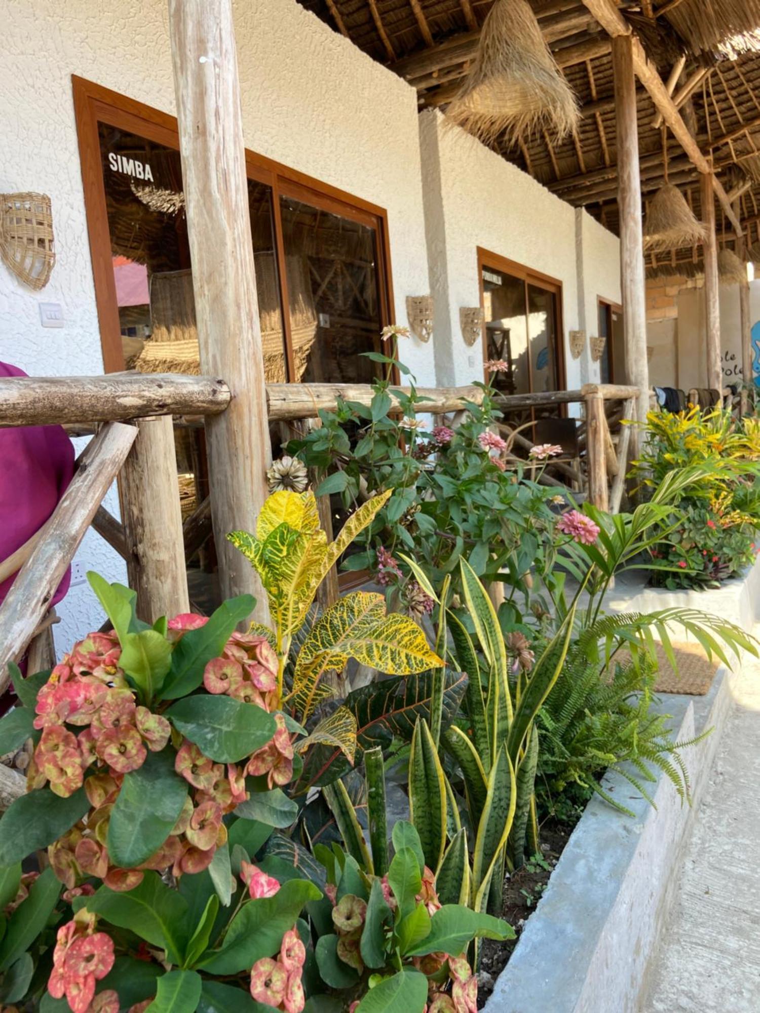 Bed & Breakfast Bougainvillea Zanzibar